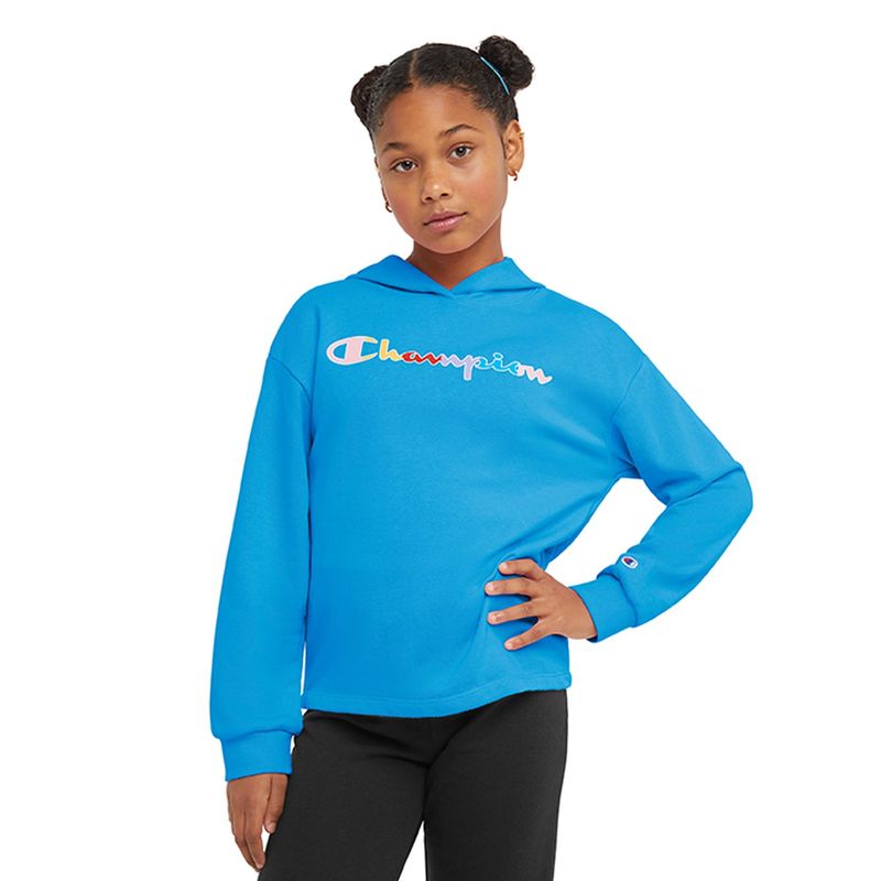 Champion sweater clearance crew neck azul