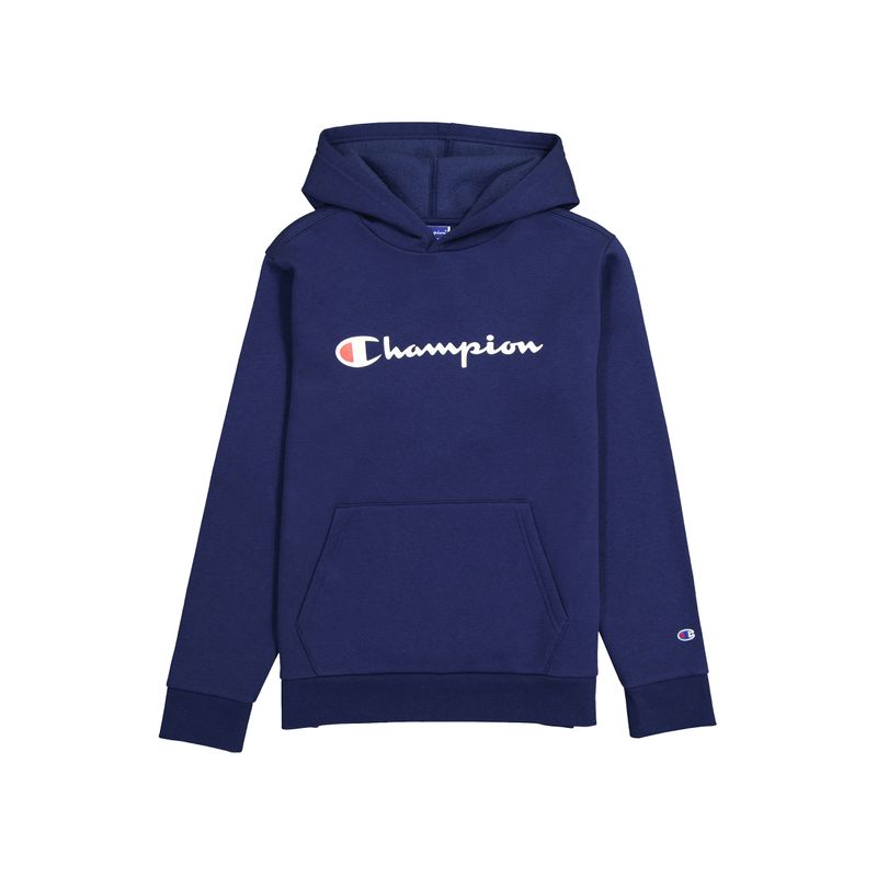 Graphic fleece sales hoodie